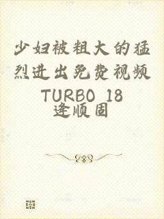 少妇被粗大的猛烈进出免费视频TURBO 18